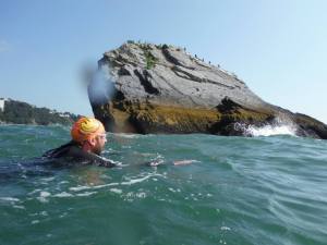 Approaching Shag Rock